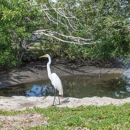 Marsh Front Birders Paradise Close To Beaches And Downtown St. Augustine Exterior photo