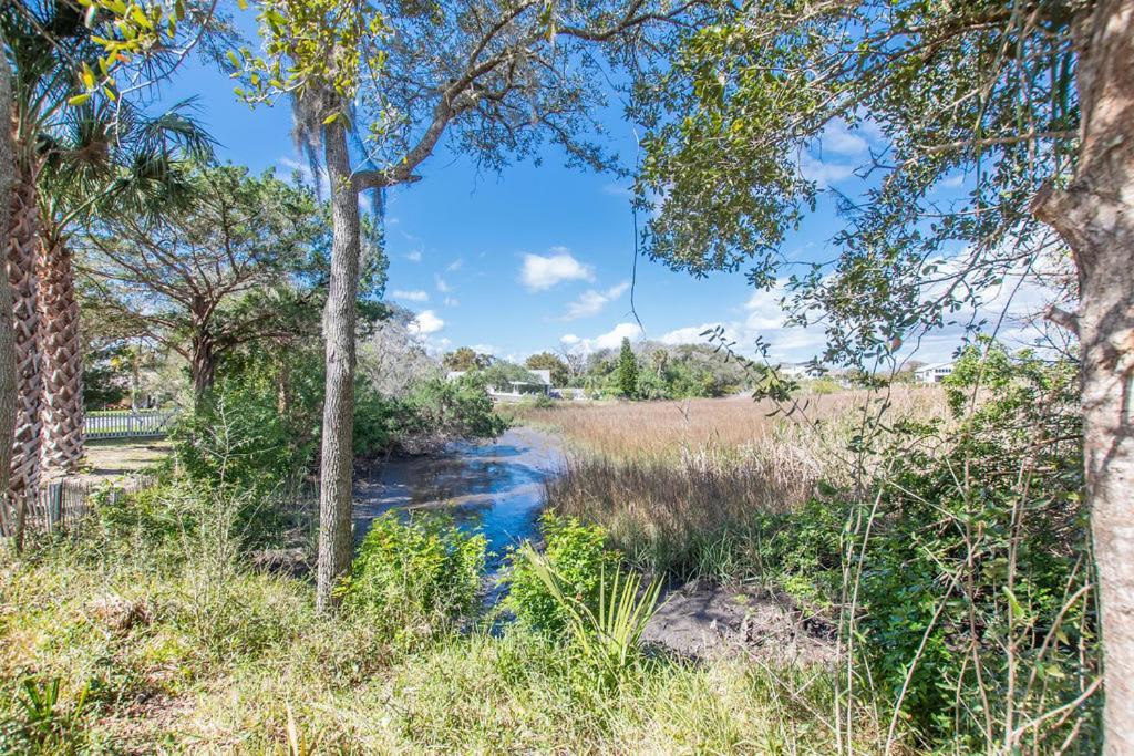 Marsh Front Birders Paradise Close To Beaches And Downtown *
